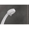 Triton 3 Position Shower Head - White