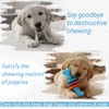 FantaDeco Puppy Teething Toy, Durable Chew Toy for Small Dogs,