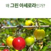 Charm goods Green Acerola Vitamin C 60 tablets, 5 /