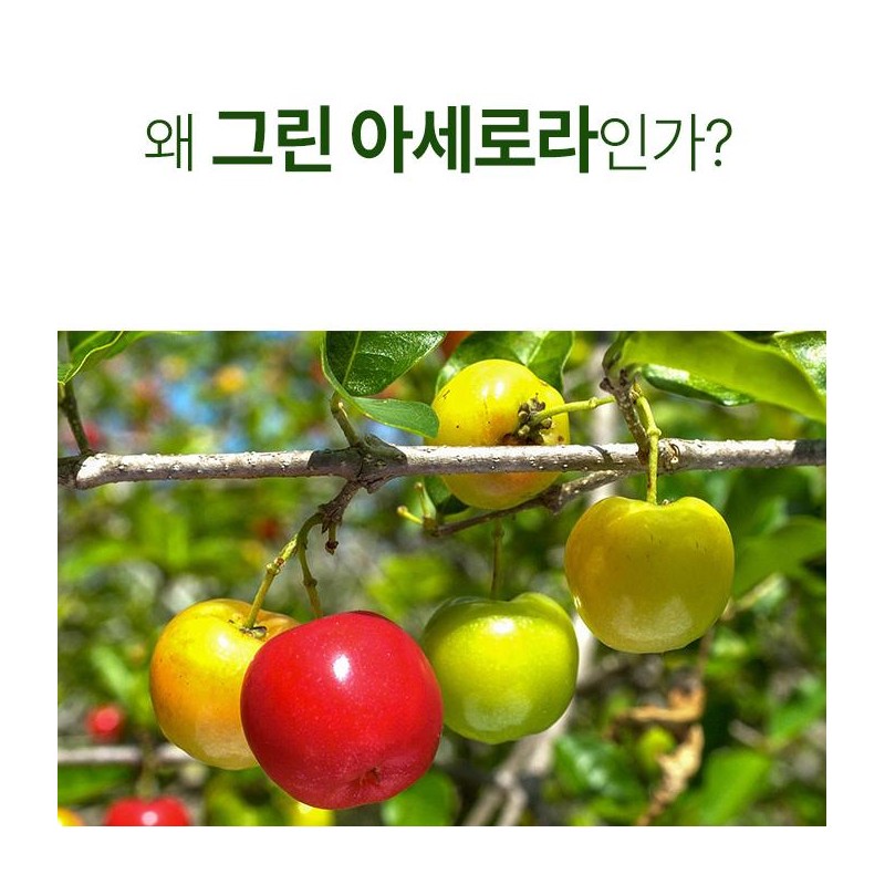 Charm goods Green Acerola Vitamin C 60 tablets, 5 /