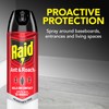 Raid Ant & Roach Killer 26, Fragrance Free Bug Killer