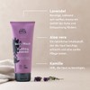 Urtekram Wash Lotion - All Skin Types - Soothing Lavender