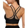 ZenWear Y Back Sports Bra with Mesh Layer and Dual