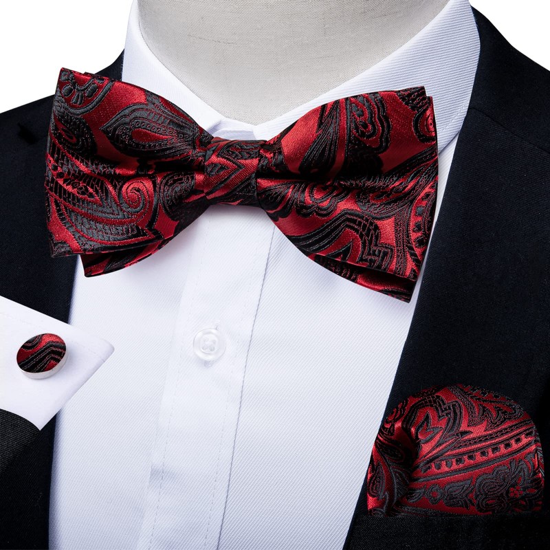 DiBanGu Silk Black and Red Paisley Pre-Tied Bowtie Adjustable Bowtie