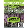Cabbage Seeds for Sprouting Microgreens – Heirloom, Non-GMO Seeds to