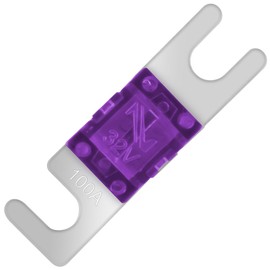 SeKi Mini ANL Fuse 100A for Car Truck Motorcycle Boat HiFi Blade Fuse Pack of 4