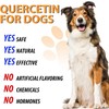 Quercetin for Dogs - Allergy Relief Support - Liquid Drops