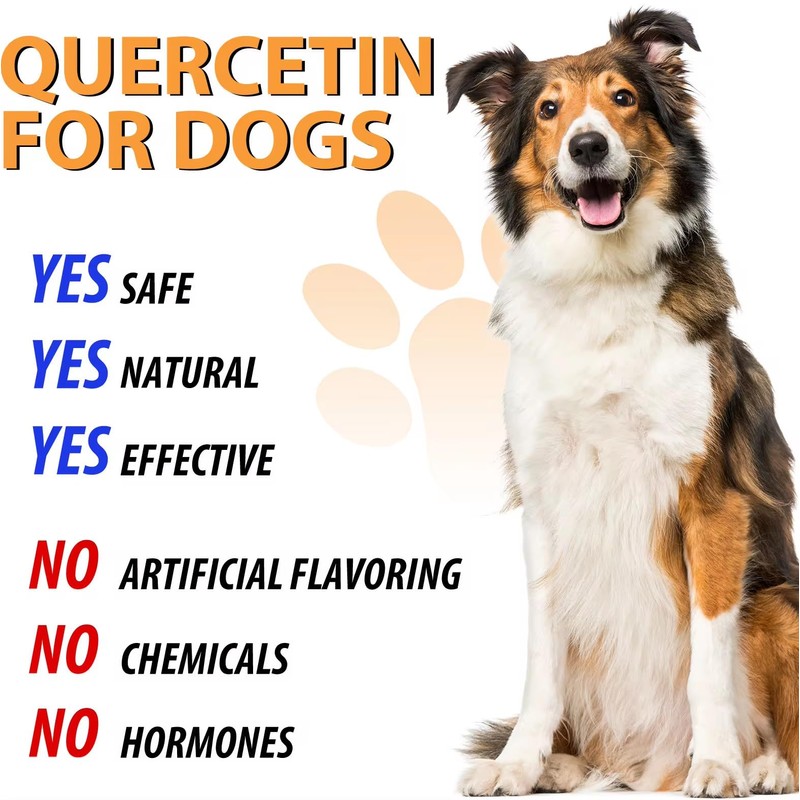 Quercetin for Dogs - Allergy Relief Support - Liquid Drops