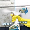 MiracleMist Instant, Mold and Mildew Spray Remover for RV and