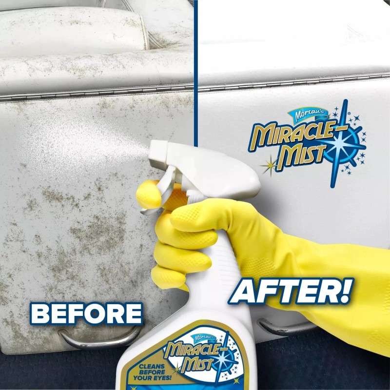 MiracleMist Instant, Mold and Mildew Spray Remover for RV and