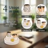 hollishowe Multifunction Incense and Candle Holder for Burning Sage, Palo