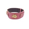 Unique American Bully GOLD Heavy Duty 2.5 inch Wide Leather