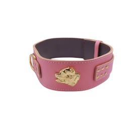 Unique American Bully GOLD Heavy Duty 2.5 inch Wide Leather Dog Collar with American Bully Head Motif (Large: 23" - 28", Baby Pink)