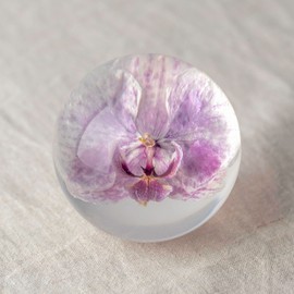 NouvoCrescent Real Purple Orchid Paperweight - Home Decor Crystal Resin Ball 3.14in (80mm) - Clear Resin Purple Orchid Flower Globe for Special Days - Sphere Figurine Office Paperweight w/Flat Bottom