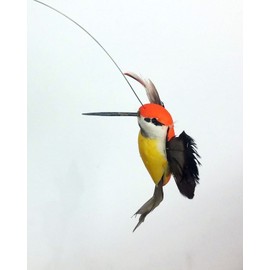 Solar Orange Hummingbird, Dual (Solar/Battery) Power Fluttering Dance Hummingbird, Outdoor or Indoor, Solar Powered or Battery Powered