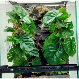 KERUIDENG Reptile Plants for Terrarium Decor, Amphibian Habitat Decor, Snake Tank Accessories, Artificial Hanging Plants with Suction Cup-2 Packs (Fake Monstera)