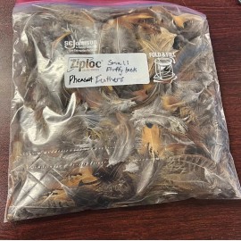 Unbranded 50pcs Natural Ring-neck Pheasant Plumage/Back Feathers Assortment DIY Art Craft