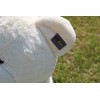 Joyfay Giant Teddy Bear, White- Over 6ft (78")