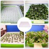 Doyime Hydroponics Sponge, Vegetable Planting Sponge, Hydroponic Cultivator, Square Seedling