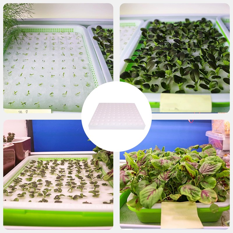 Doyime Hydroponics Sponge, Vegetable Planting Sponge, Hydroponic Cultivator, Square Seedling
