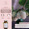 QIDOSHA 1-Deoxynojirimycin (DNJ) from White Mulberry, 120 Capsules in Pharmacist