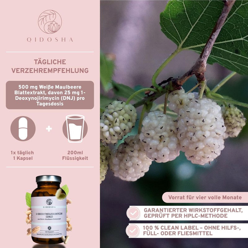 QIDOSHA 1-Deoxynojirimycin (DNJ) from White Mulberry, 120 Capsules in Pharmacist