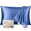 Warmstar 100% Silk Pillowcase, Large, 50x70, 22 Momme, 6A Class