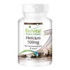 Fairvital Hericium Capsules – 500 mg Hedgehog Beard Mushroom Powder