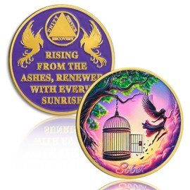 YRCKUDZKG Break Out of a Cage Sobriety Coin, Phoenix Rising AA Medallion - Sister Power Addiction Recovery Chip with Token Capsule, Sobriety Gift for Women