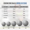STOROMO Exercise Ball,Yoga Ball(Free Exercise Tutorial)，Extra Thick Non-Slip,Holds 2500 lbs,