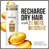 Pantene Pro-V Daily Moisture Renewal Shampoo, 1.7 Fluid Ounce