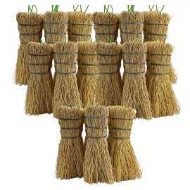 mdj Escobeta Para Limpieza De Trastes 12 Piezas Chica