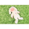 Newborn Photography Props, Use Soft 3D Rose Flower Backdrop Beanbag