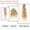 Honey Blonde to Blonde Braiding Hair For Boho Braids Ocean