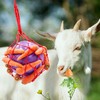 Tirifer Carrot Feeder Ball Toy for Horse, Goat, Sheep -