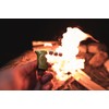 Toker Poker - Bic Lighter Case Multi Tool, Alice Collection