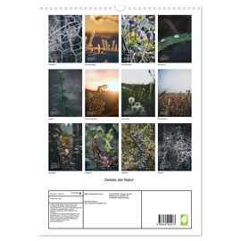 Details der Natur (Wandkalender 2025 DIN A3 hoch), CALVENDO Monatskalender [Calendar] Sebastian Brand