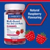 Lamberts Multi-Guard Hair Skin and Nails 60 Gummies – with