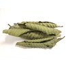 Organic Guava Tea| Guava Leaf Tea|100% Pure loose Leaf, Organic,