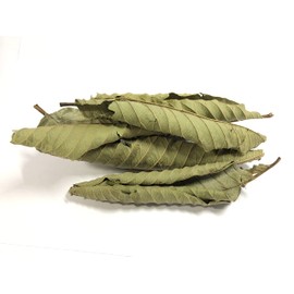 Organic Guava Tea| Guava Leaf Tea|100% Pure loose Leaf, Organic, Caffeine-Free