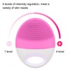 Electric Ultrasonic Silicone Cleansing Device Facial Cleaner Beauty Instrument (Pink)