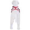 Arppe 196202560001 Nylon Basic Triple Harness