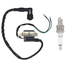 Amavoler Ignition Coil+Spark Plug Replacement Parts Fit for Coolster 125cc 3050B ATV-3050B 3050 B3050A 110cc Kids 4 Quad Four Wheeler Roketa Baja Kazuma Meerkat 50cc Falcom 110cc 70cc Chinese Quad ATV