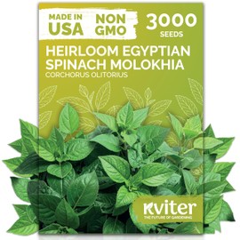 KVITER 3000 Molokhia Jute Leaves Egyptian Spinach Seeds (Corchorus Olitorius) – a.k.a. Ewedu, Rau Day, Saluyot Vegetable Seed – Non GMO & Heirloom Vegetable Seeds for Planting Outdoors & Indoors