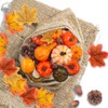 DomeStar 50 PCS Thanksgiving Artificial Pumpkins and Gourds Set Fall