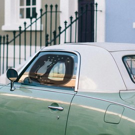 Mr. & Mrs. Panda Car Sun Protection Mouse Stars Gift Funny Sayings Sun Protection Film Sun Protection Baby Birth Good Mood Animal Motifs