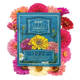 Zinnia Seeds for Planting Outdoors - ~3,000 California Giant Mix Zinnia Seeds - Beautiful 4' Tall Wildflower Blossoms - Zinnia elegans Pollinator Seed Mix - Bright, Cheerful Annual Zinnia Seeds Bulk