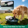 Automatic Water Bowl Livestock Waterer for Horse Cattle Goat Sheep
