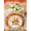 Sweese Porcelain 11 Inch Dinner Plates Set of 6 -