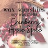 Wax Squishies - 7.5 oz Variety of Scents! Squeeze Wax,